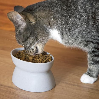 a cat eating food from a stress free feeder bowl on a wooden floor