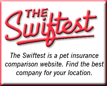 the swiftest is a pet insurance comparison website find the best pet insurance for your location