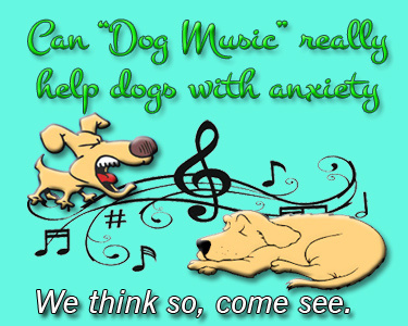can dog music really help dogs with anxiety?