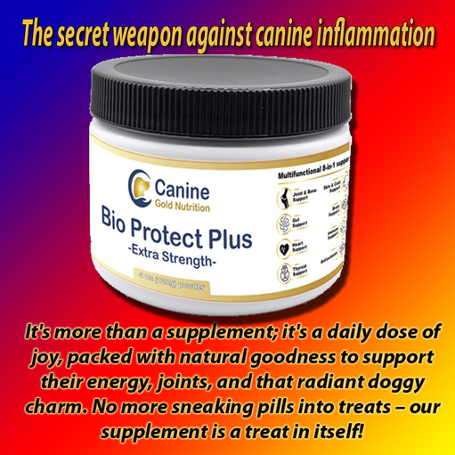 the secret weapon against canine inflammation