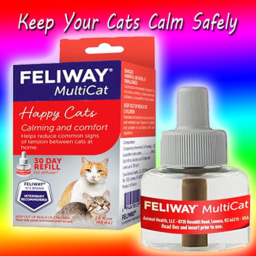 feliway happy cats calming treatment for cats