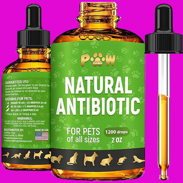 a bottle of Golden Paw natural antibiotic for dogs and cats