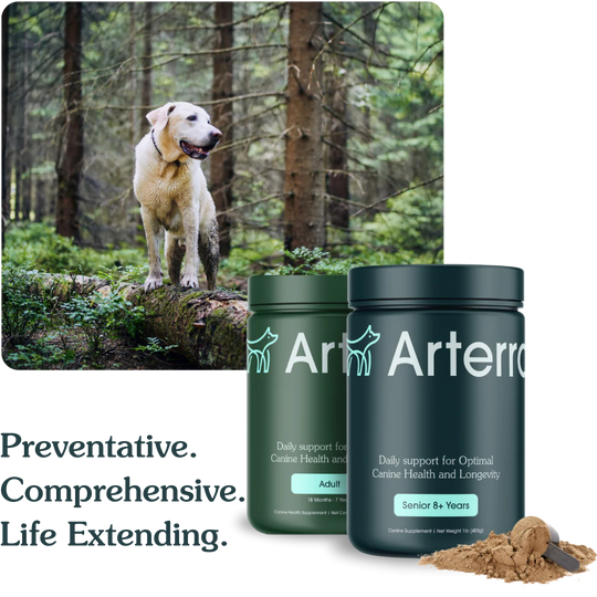 an image of a dog in the woods with the words, prevention, comprehensive, and life extending